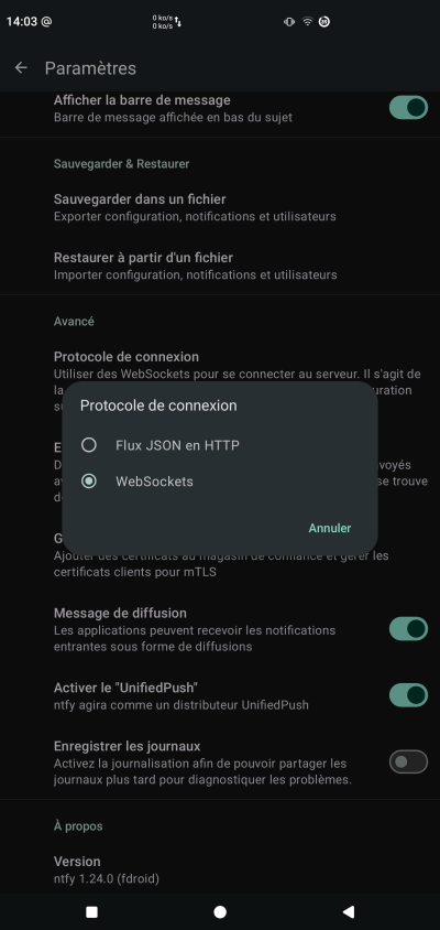 Sélectionner le protocole WebSockets